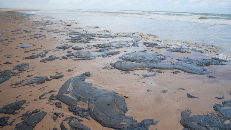 Deputada paraibana pede explicações ao IBAMA sobre derramamento de óleo nas praias do Nordeste