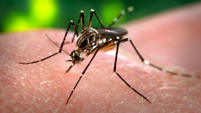 Casos de dengue registram redução de mais de 90% em 2017 na Paraíba