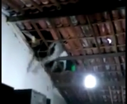 Jumento cai sobre telhado de residência em Cajazeiras