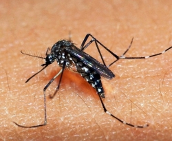 Paraíba registra aumento de casos de dengue em 2019; número de óbitos diminui