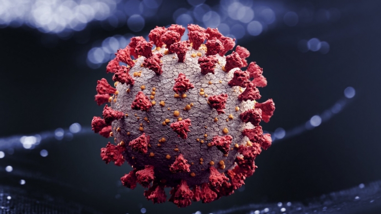 Pneumologista explica como coronavírus age no corpo humano e lista doenças respiratórias mais preocupantes para Covid-19