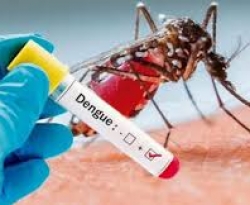 Dengue: registros de casos na Paraíba caem durante pandemia