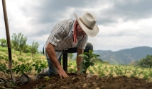 Governo da PB seleciona e orienta agricultores para acesso a programa de fomento rural