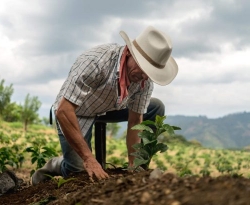 Governo da PB seleciona e orienta agricultores para acesso a programa de fomento rural