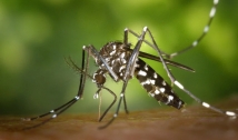 Infectologista pede que população redobre cuidados nesse período de chuvas com dengue, chikungunya e zika