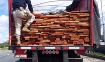 PRF apreende madeira extraída de forma ilegal no Pará sendo transportada para PB