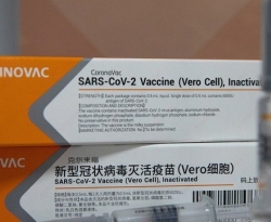 Covid-19: País tem 4 testes de vacina e 32 de tratamento em andamento