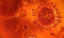 Brasil não sabe quantas mutações do coronavírus circulam no país