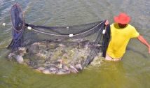 Governo da PB adquire pescados para distribuir com 30 mil famílias de 74 cidades