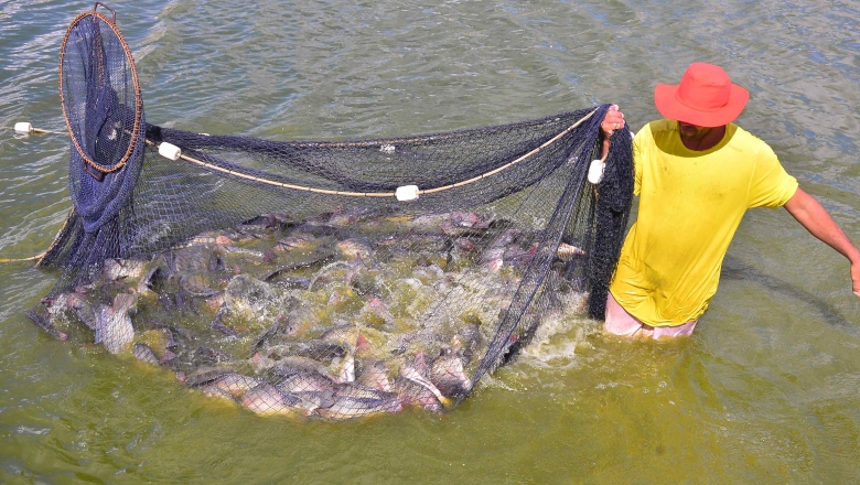 Governo da PB adquire pescados para distribuir com 30 mil famílias de 74 cidades