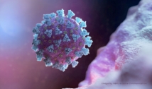 Estudo: anticorpos de quem teve covid-19 não protegem contra variante