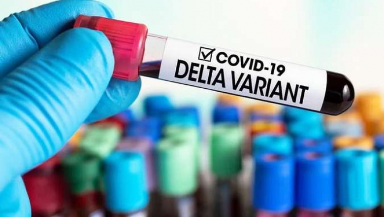Aumenta número de novos óbitos por Covid-19 e Lacen investiga 200 casos da variante Delta, na Paraíba