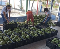Governo da Paraíba distribui 970 toneladas de alimentos da agricultura familiar em 100 municípios