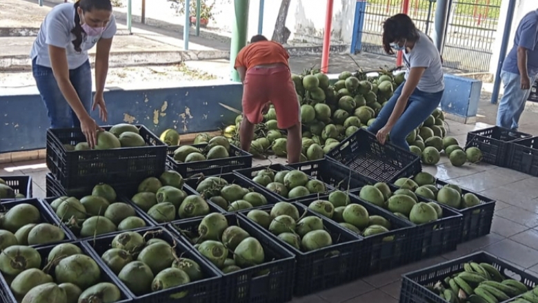 Governo da Paraíba distribui 970 toneladas de alimentos da agricultura familiar em 100 municípios