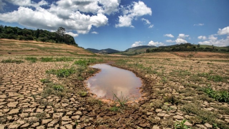 Governador decreta que 150 municípios da Paraíba estão em situação de emergência por conta da seca