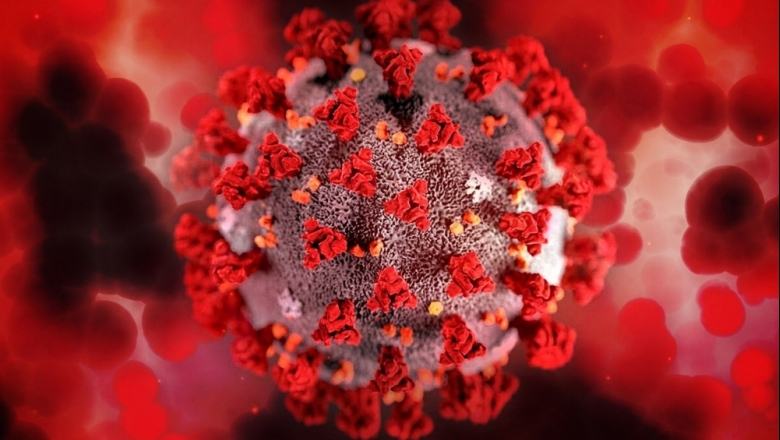 Coronavírus pode ficar até 7 meses no organismo, diz estudo