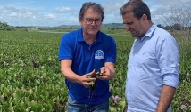 Com AESA, prefeito de São José de Piranhas visita ribeirinhos e pescadores e tenta resolver 'praga verde'