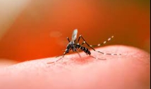 Saúde divulga primeiro Levantamento do Índice de Infestação por Aedes aegypti de 2022 na Paraíba 