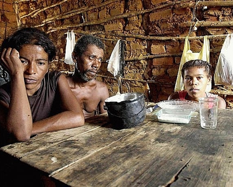 Com 33 milhões de brasileiros sem comida, fome pede soluções urgentes