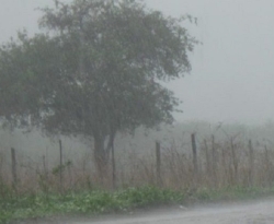 Inmet emite alerta de chuvas intensas para mais de 100 municípios da Paraíba