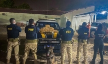 Sargento da PM-CE é preso com carga de cocaína avaliada em R$ 2,4 milhões 