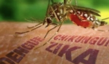 Casos de dengue e chikungunya disparam no Brasil, e Ministério da Saúde vê nova epidemia 