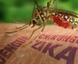 Casos de dengue e chikungunya disparam no Brasil, e Ministério da Saúde vê nova epidemia 