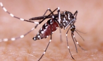 Saúde divulga novo boletim epidemiológico para chikungunya, dengue e zika na Paraíba