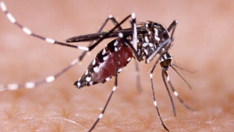 Saúde divulga novo boletim epidemiológico para chikungunya, dengue e zika na Paraíba