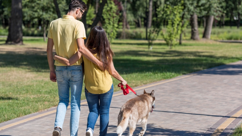 Lei permite animais de suporte emocional em espaços públicos; CRMV-PB faz alerta sobre cuidados com pets