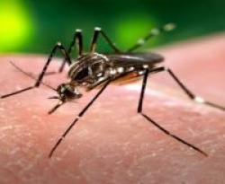 Paraíba confirma redução, mas casos prováveis de dengue, chikungunya e zika são identificados em 106 municípios