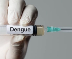 Ministério da Saúde estima que vacina contra dengue esteja disponível no SUS em um ano e meio 