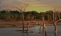 CNA alerta para possibilidade de seca no Nordeste; entenda a situação e os principais impactos
