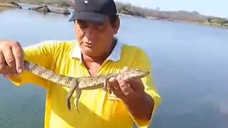 Pescador captura filhote de jacaré no Açude São Gonçalo, em Sousa