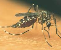 Saúde divulga boletim epidemiológico dos casos de dengue, zika e chikungunya na PB