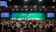 Senador paraibano representa o Senado Federal na COP 28, a Conferência da ONU sobre clima, em Dubai   
