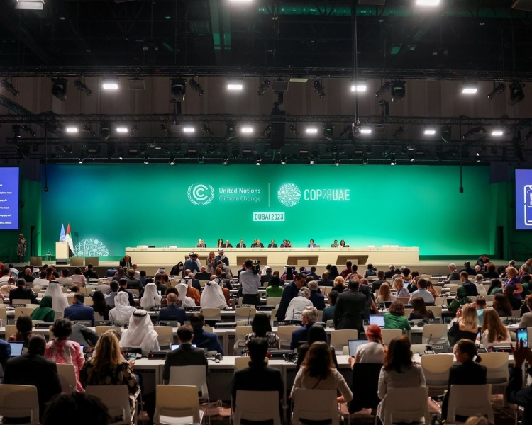 Senador paraibano representa o Senado Federal na COP 28, a Conferência da ONU sobre clima, em Dubai   