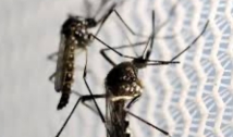 Saúde estadual realiza reunião com prefeitos para alinhar estratégias e apresenta ações de combate à dengue
