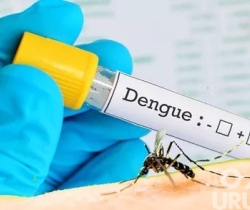 Paraíba confirma terceira morte por dengue e outros dois casos estão em investigação