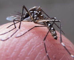 Saúde confirma primeira morte por dengue na Paraíba em 2024; seis pessoas morreram em 2023