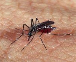 Paraíba intensifica ações do plano estratégico de combate à dengue e realiza mais um Dia D