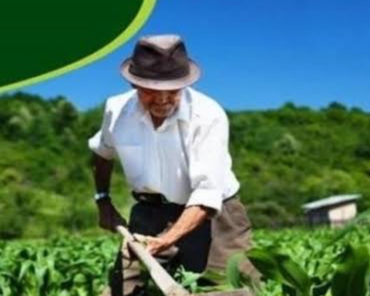 Governo da Paraíba destina mais de R$ 8 milhões para pagamento do Garantia-Safra a agricultores de 135 municípios