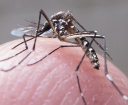 Boletim epidemiológico alerta para risco de surto de dengue na PB