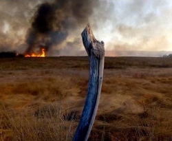 Incêndio de grandes proporções é registrado em zona rural de Serra Grande; vídeo