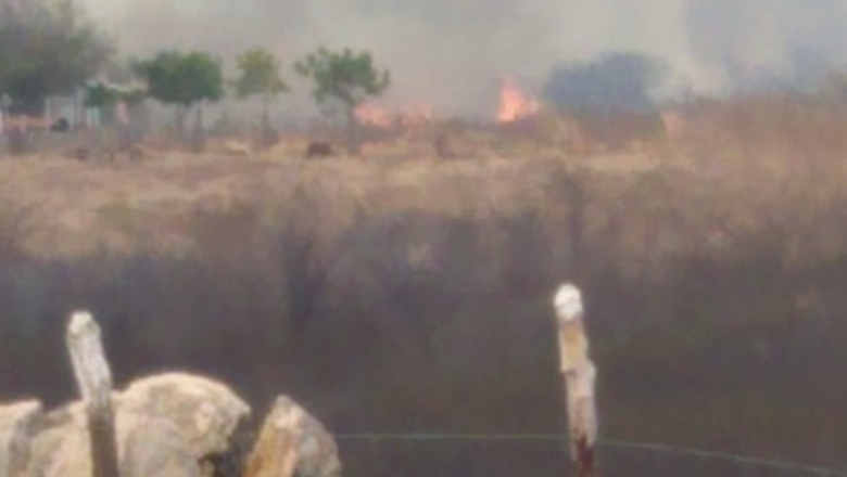 Incêndio em vegetação assusta moradores do setor norte da zona rural de Cajazeiras; veja vídeo