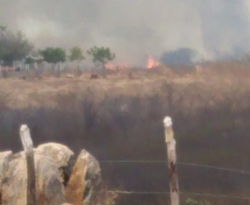 Incêndio em vegetação assusta moradores do setor norte da zona rural de Cajazeiras