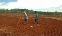 Agricultores familiares do Sertão preparam terreno para o plantio de algodão orgânico