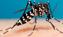 Criança de 5 anos morre vítima de dengue hemorrágica no interior da PB