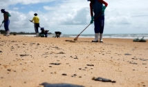 Mais de 525 toneladas de resíduos foram retiradas de praias com óleo