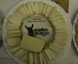 Senado aprova regras para produção e venda de queijos artesanais